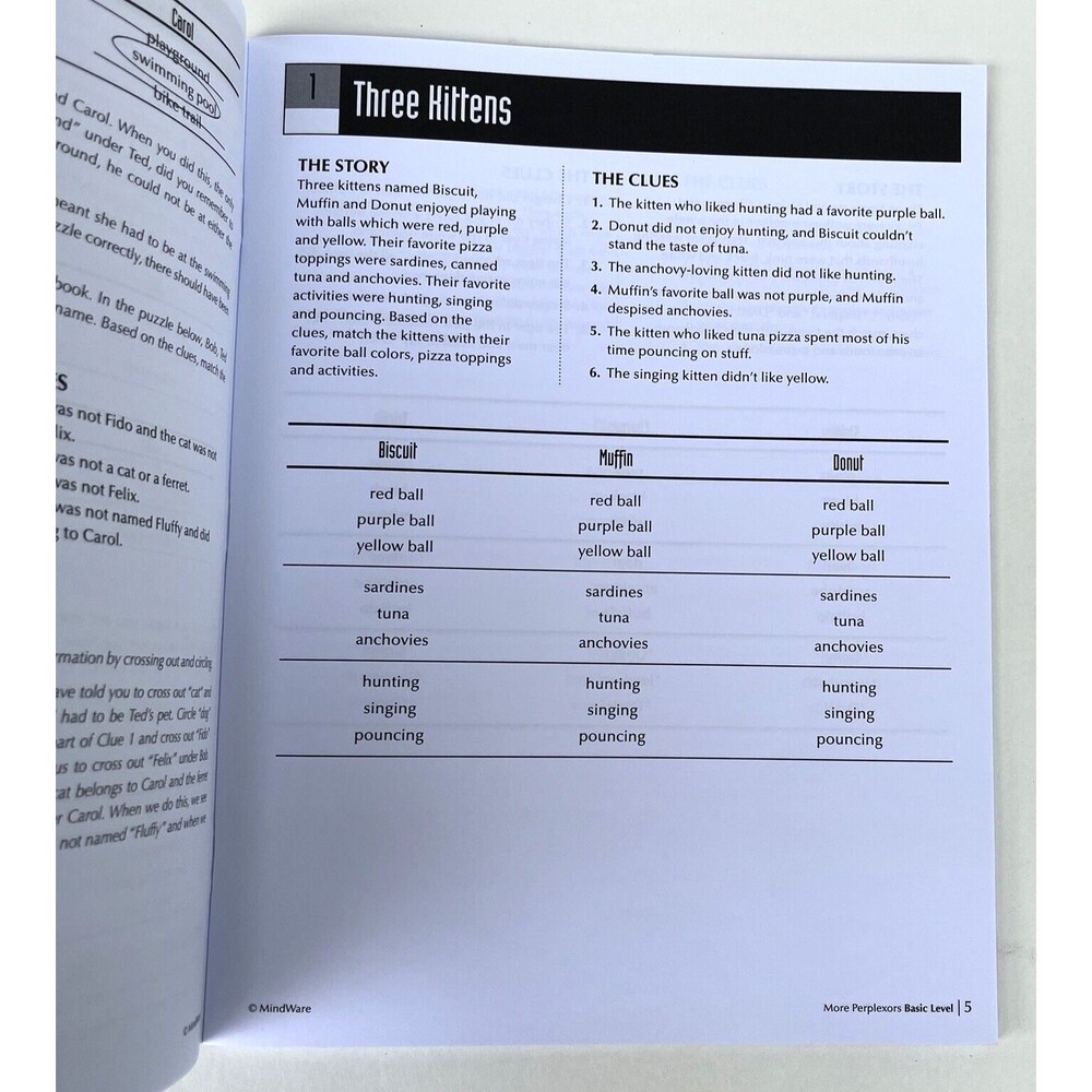 MindWare More Perplexors: Basic Level - Brainteasers - Picture 3 of 9